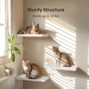 image:imageAMADA HOMEFURNISHING 354 L Floating Shelves Wall Shelves Set of 3 for BathroomLiving RoomBedroomKitchen Floating Shelves for Wall Decor with Invisible Brackets  AMFS45VWhite
