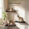 image:imageAMADA HOMEFURNISHING 354 L Floating Shelves Wall Shelves Set of 3 for BathroomLiving RoomBedroomKitchen Floating Shelves for Wall Decor with Invisible Brackets  AMFS45VBlack