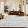 image:imageAMADA HOMEFURNISHING 8x10 Washable Area Rugs Boho Geometric LowPile with NonSlip Backing Stain Resistance amp Durable Edge Binding Soft Indoor Carpet for Living Room Bedroom Dining Room BeigeLight Grey